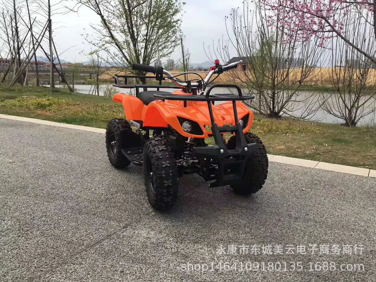 49cc ATV Mini 2 Stroke Small Four-Wheel Quad Bike off-Road Scooter Mountain