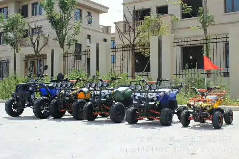 49cc ATV Mini 2 Stroke Small Four-Wheel Quad Bike off-Road Scooter Mountain