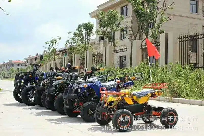 49cc ATV Mini 2 Stroke Small Four-Wheel Quad Bike off-Road Scooter Mountain